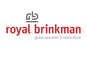 Royal Brinkman logo on white background